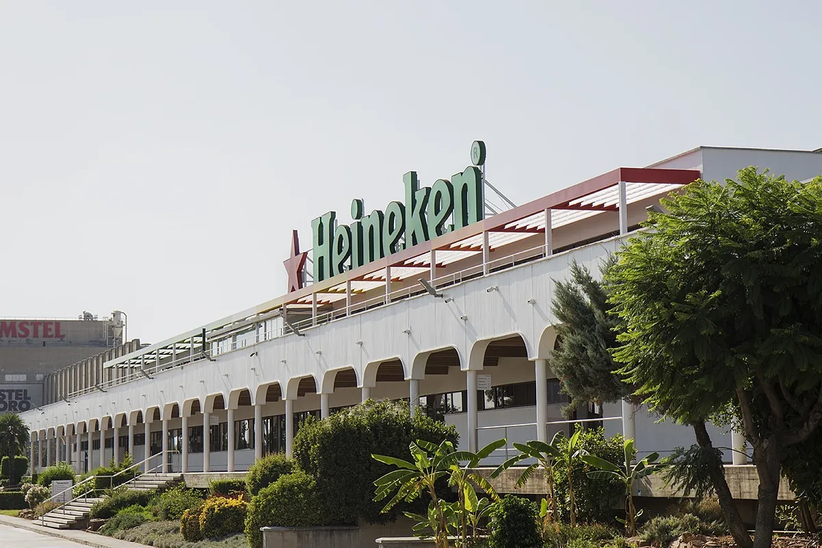Heineken cifra en 677 millones su impacto en la economía valenciana
