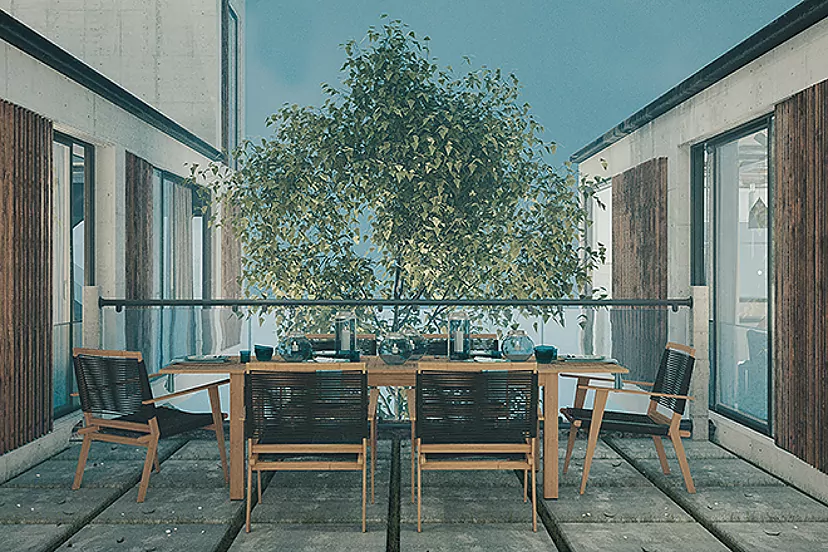 Patio de la casa con los árboles intactos.