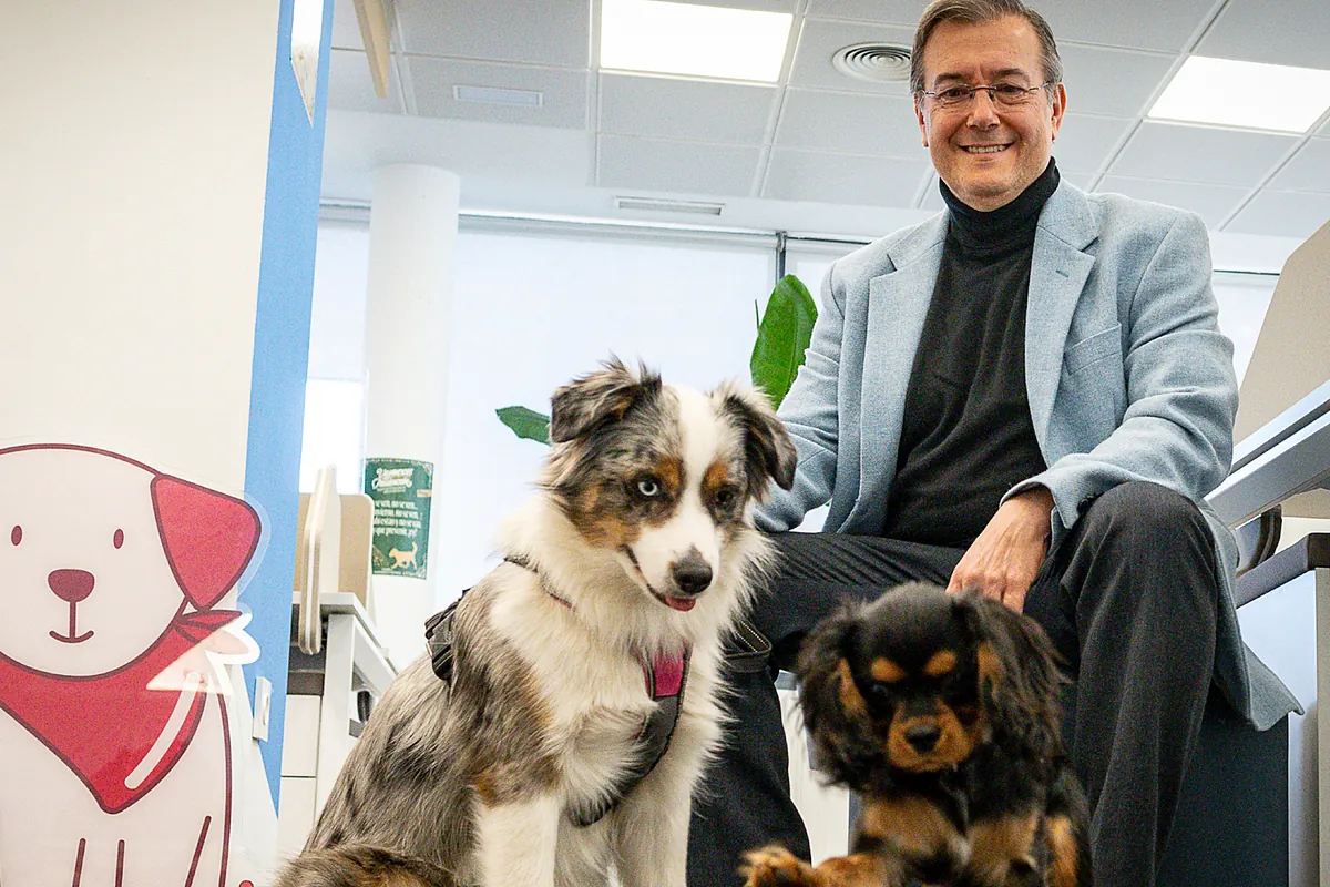 Este es el directivo español al que agradecerle que su mascota no tenga parásitos