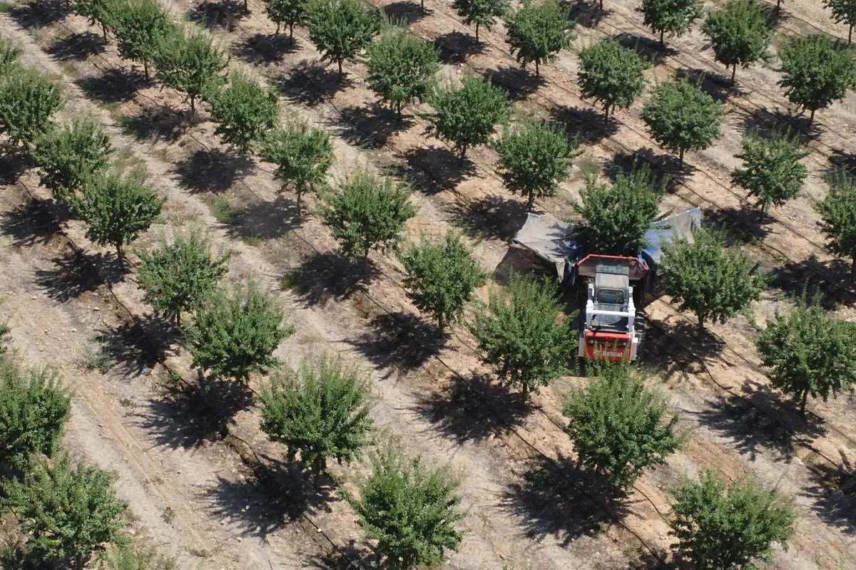 El precio de las fincas rústicas sigue al alza: así está por cultivos y provincias