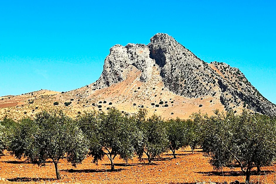 Por qué el aceite es el nuevo oro líquido del turismo español